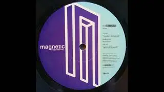 DJ Sneak - Wickedy Sounds