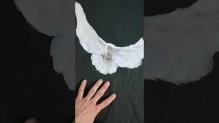 Новый год и новый шопинг (Yeezy/FoG Essentials)