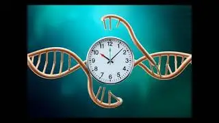 Programmed Aging: The DNA Debate and Longevity Science