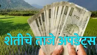 16 जानेवारी 2026 शेतकऱ्यांसाठी ठळक बातम्या | कर्जमाफी | कापूस भाव PM योजना, pik vima| NEWS HEADLINES