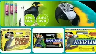 lâmpadas que emite os Raios do Sol. fluorescentes compactas UVA e UVB para aves ( pássaros )
