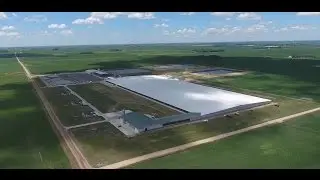 Meadowstar Dairy