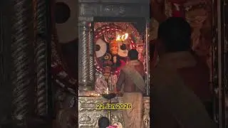 Today's Mangala Aarti Darshan Padma Besha 🙏🙏 #devotiess
