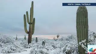 Nevada sorprende en Desierto de Arizona Nieve 4 Enero 2019