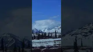 #roadtripping #gorgeousviews #centerofalaska