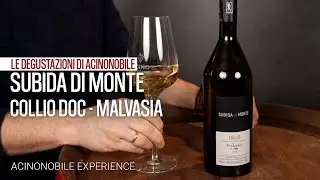 Subida di Monte | Malvasia Collio DOC