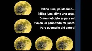 P&aacute;lida Luna - La Oreja de Van Gogh