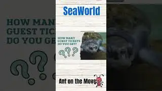 Как использовать гостевые билеты для владельцев годовых абонемента в SeaWorld 🎟️🐬
