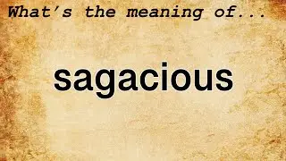 Sagacious Meaning : Definition of Sagacious