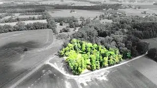 Wayne County Ranch Home Absolute Auction