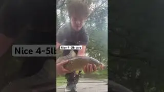 Nice carp fought nice #fish #fishing #fishingdaily #fishinglife #fishingtrips #bigfish #carp #corn