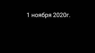 NIKUP.2020.11.01