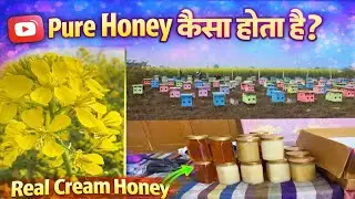 Pure honey kya hota h or kesa hota h #purehoney #realhoney #beekeepar #prashantsaini #sarsohoney 