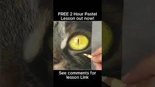 Beginner pastel lessons - FREE