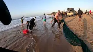 The Greatest Shoal on Earth, Umkomaas, KZN, South Africa