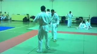 Esame cintura gialla Ju Jitsu 24/02/12