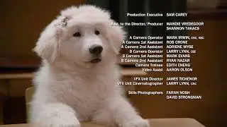Santa Paws 2: The Santa Pups Ending (Polish, English)