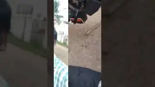 F.m.p.d