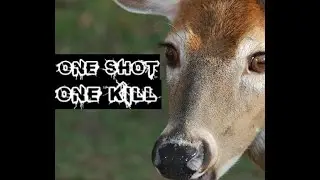 Deer Hunting 2015: SLOW-MO One Shot, One Kill--Successful Hunt