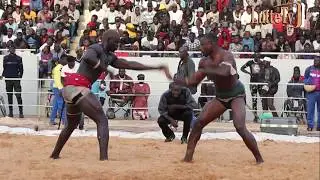 Intégralité combat T Max vs Boy Dakar l'une des révélations de la saison...