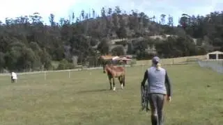 Snowy River Romance Part 5