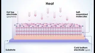Thermoelectric energy harvesting with molecules