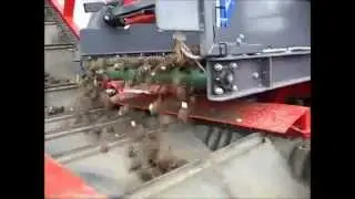 Vlaming dubbelnet rooimachine Loonbedrijf van Dun 2015