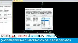 REDCAD/REDLIN - Asistente para la importación de la base de datos