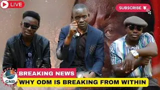 Power, Ego & Silence: The ODM Crisis. From People&rsquo;s Party to Divided House?