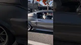 Listen to this 1967 Shelby GT500 Eleanor 🐍
