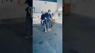 Aikido Chudan Tsuki Kotegaeshi
