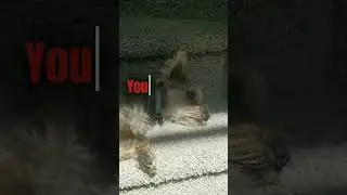 0mgggg