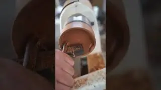 One of America's Hardest Woods Getting Turned Into an Ashtray