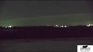 FJC Cattle Live Stream | Oklahoma Sunrise & Sunset