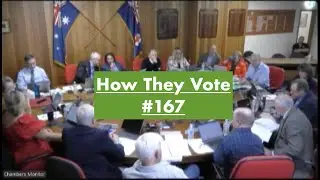 Heatmaps on How Individual Councillors Vote and Group Cohesion #167