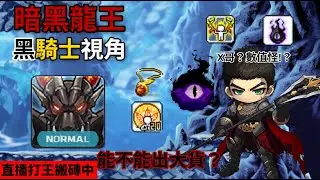 【Artale楓之谷】國際服 Lv169 英雄＆Lv163 黑騎士 早8龍王｜日常閒聊｜時間裝備已經開放｜各種BOSS攻略｜有問題會盡量回答 01/17