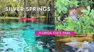 Silver Springs - See Cabins, Trails, Paddle River with Monkeys, Manatees, Birding Trail