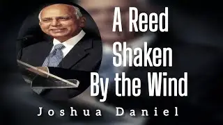 A Reed Shaken by the Wind | Powerful Sermon by Joshua Daniel 