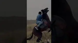 Commando Aggresive mode 🔥