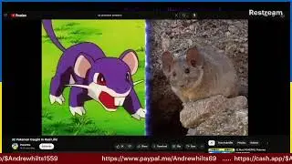 not so good morning // pokemon presents 2024