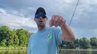 Catching Perch on Bust 'Em Bait Spinners
