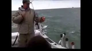 Lake Erie Perch Fishing Monroe, Michigan 2013