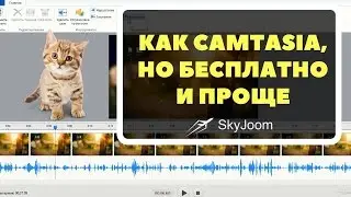 Бесплатная программа для записи видео с экрана iSpring Free Cam 8
