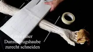 Anatomisches Pr&auml;parat nachbauen