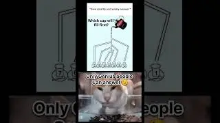Wait A Minute ☠️ #memes #catmeme #funny #catphoto #cat #catpicture #cute