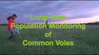 tier 3 'Grey Box' films: Long-term monitoring of common voles