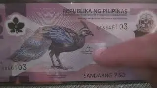 Banknotes - 100 pesos, Philippines, 2024