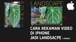 2 Cara Rekam Video Secara Landscape (Horizontal) di iPhone