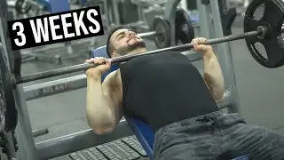 The Power Of 3 Week Waves