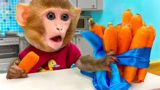 Monkey Baby is Looking for Hidden Carrots At Home For His BIRTHDAY!🐵🎂